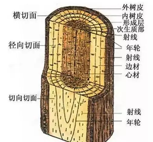 640.webp (1).jpg