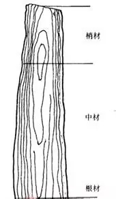 640.webp (4).jpg