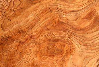 2345_image_file_copy_3.jpg