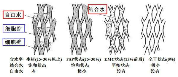 2345_image_file_copy_2.jpg