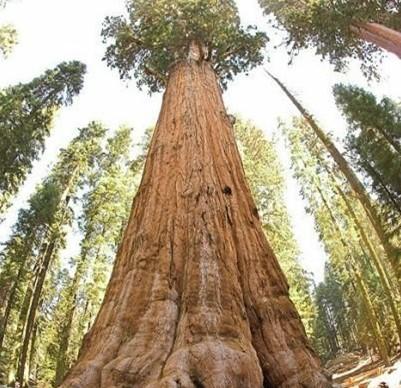 2345_image_file_copy_5.jpg