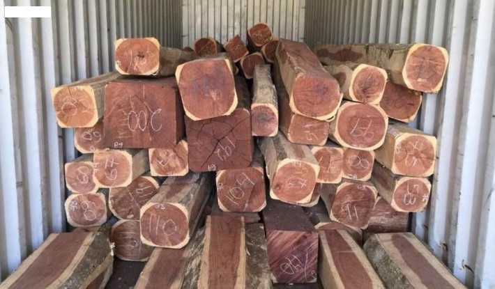 木材知识 | 红檀香是什么木材?