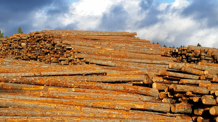 lumber-sky-wood-pile-preview.jpg
