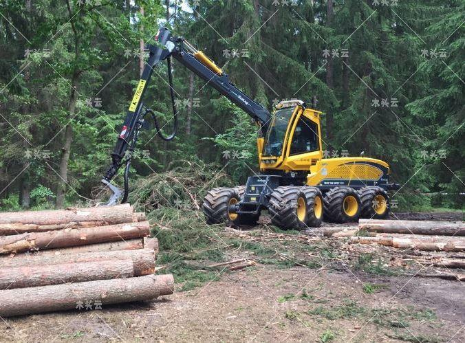 奥地利调整木材税率