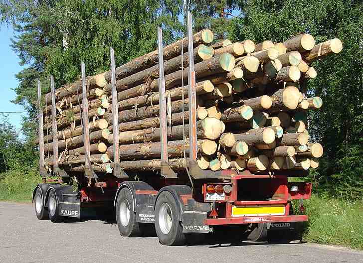 越南：木材出口无法达到年度目标