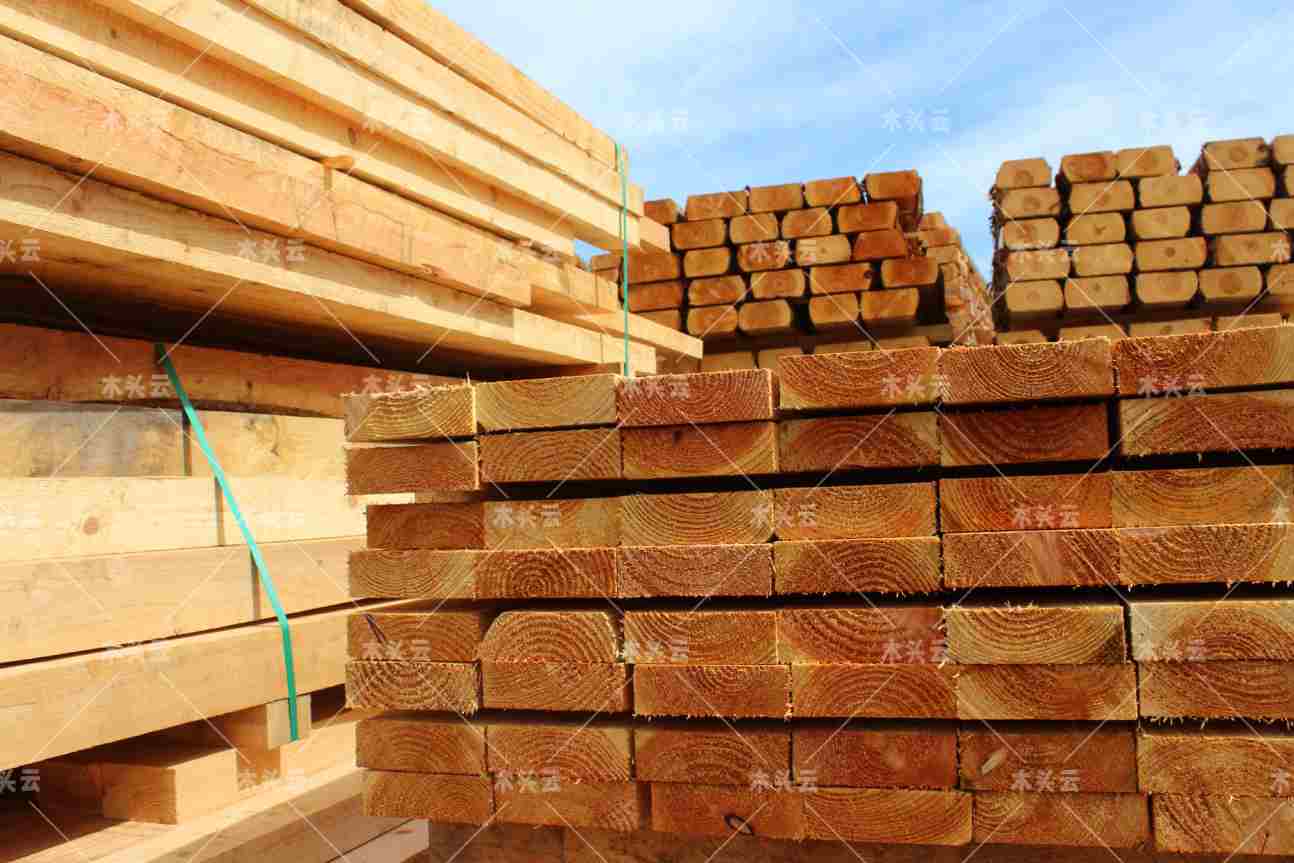 2022 年北美木材价格还会上涨吗？
