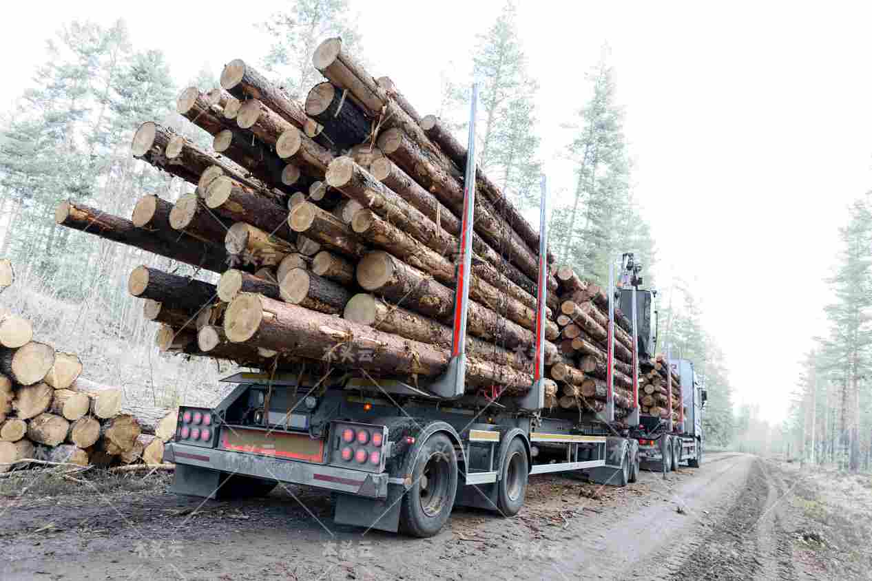 2022 年北美木材价格还会上涨吗？