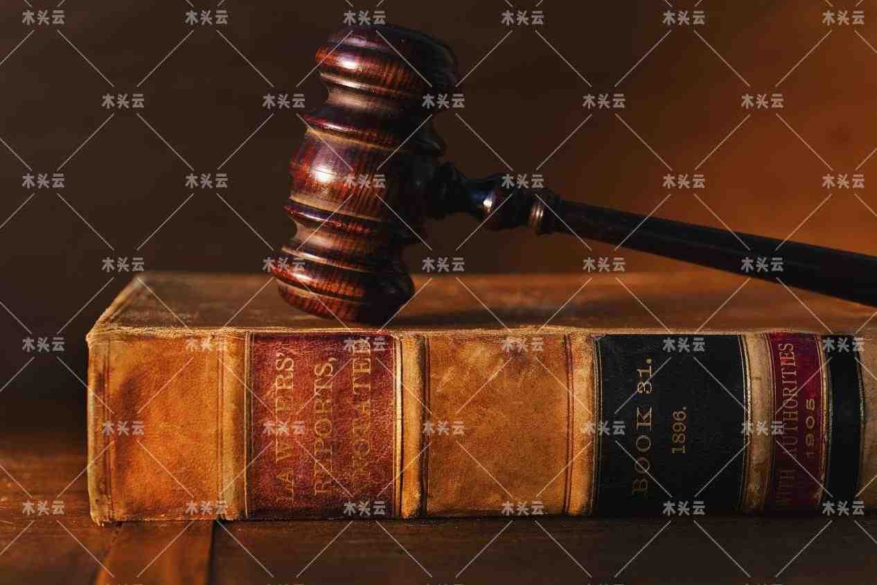 巴西最大执法行动已关闭200余家非法采伐的木材公司