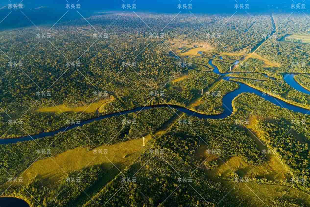 巴西最大执法行动已关闭200余家非法采伐的木材公司