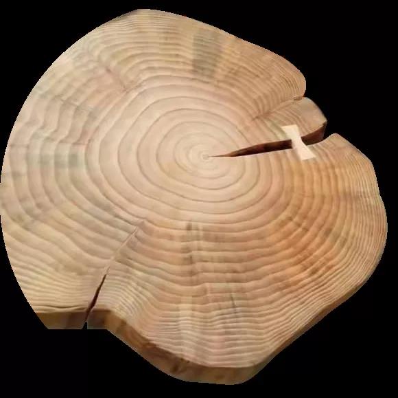 澳大利亚进口木材下降99%！