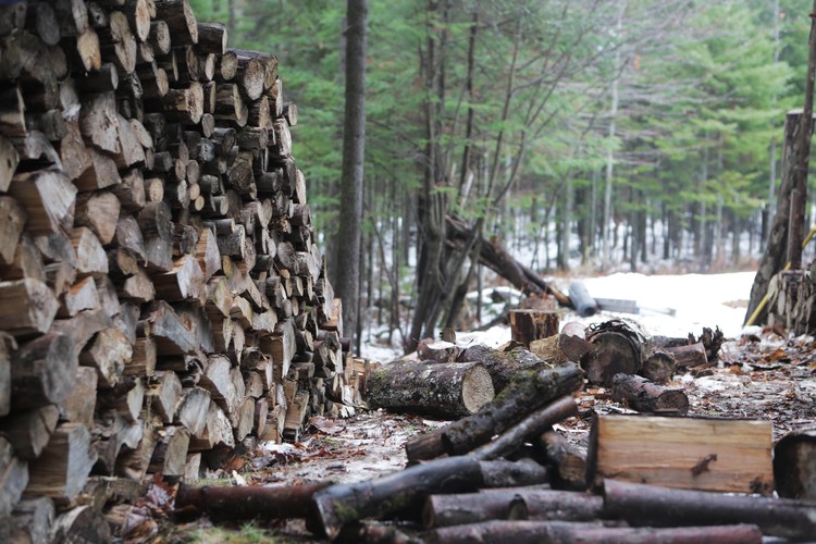 2022年木材市场价格行情分析