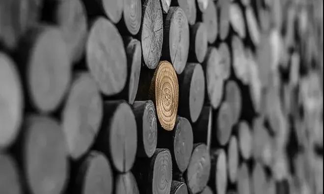 白俄工业木材价格持续下跌