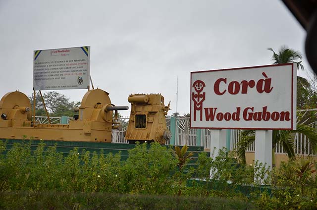 伍德：Corà Wood加蓬的绝唱?