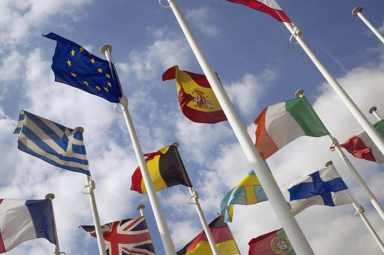 欧盟公布打击进口毁林法规草案对木材行业的影响