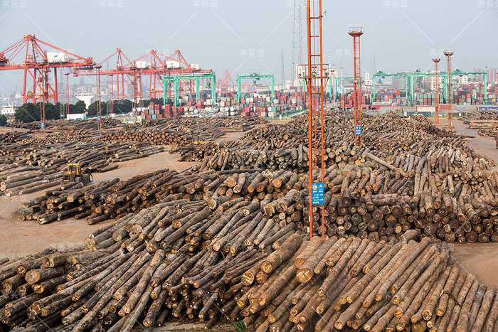 赞比亚：暂停发放木材出口许可证