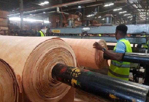 加蓬锯木出口价格上涨