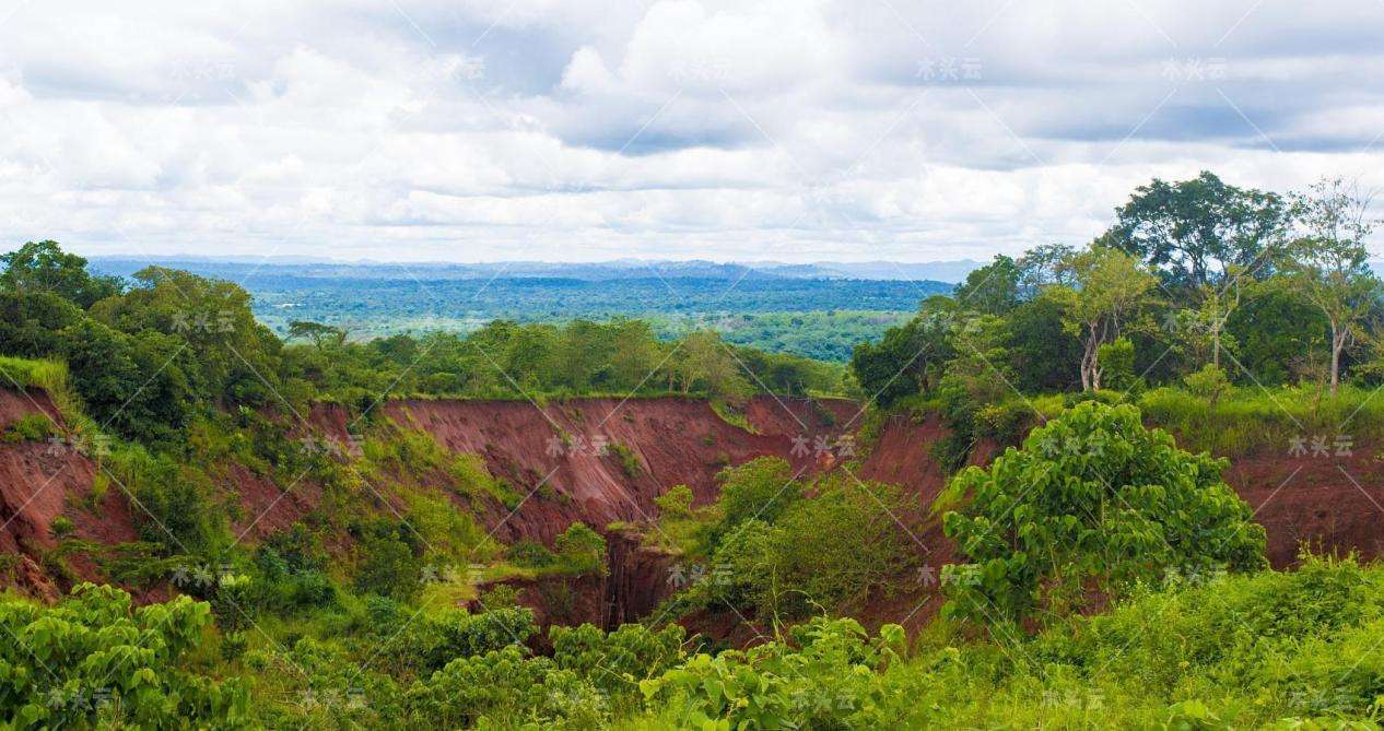 尼日利亚已经失去了96%的原始森林