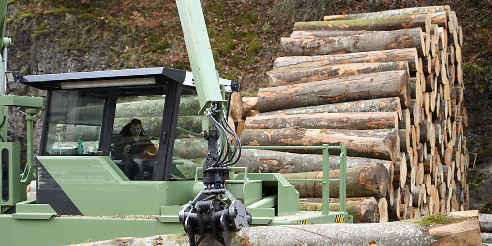 瑞士木材价格上涨