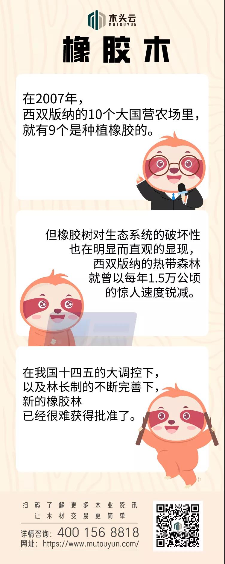 印度橡胶木价格上涨125%