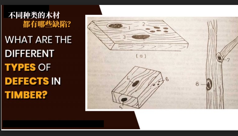 不同种类的木材都有哪些缺陷(五)?