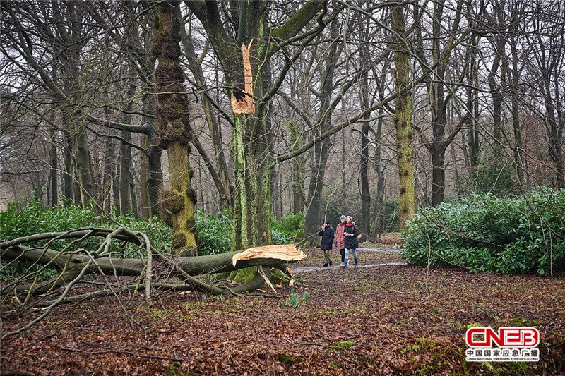 运输“大动脉”中断，欧洲材进口成本上涨