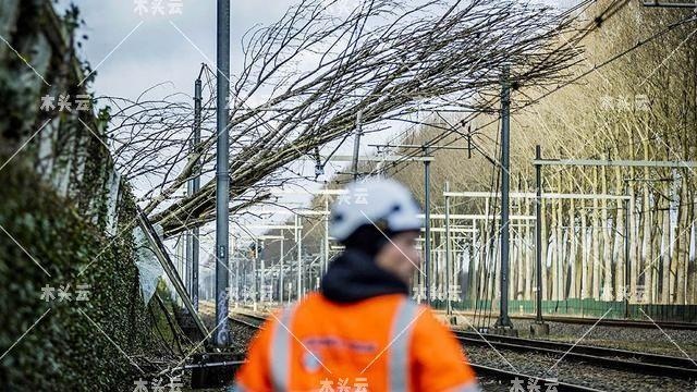 运输“大动脉”中断，欧洲材进口成本上涨