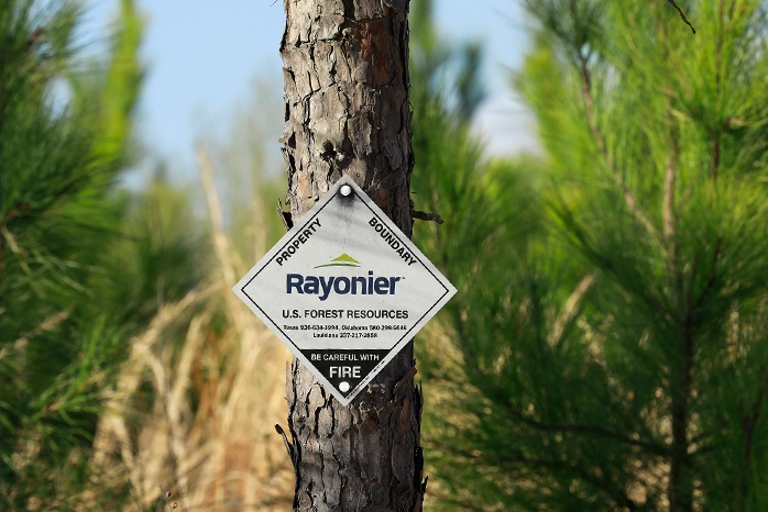 Rayonier 收购美国南部 66,800 英亩的林地
