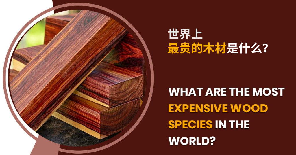 世界上最贵的木材是什么?