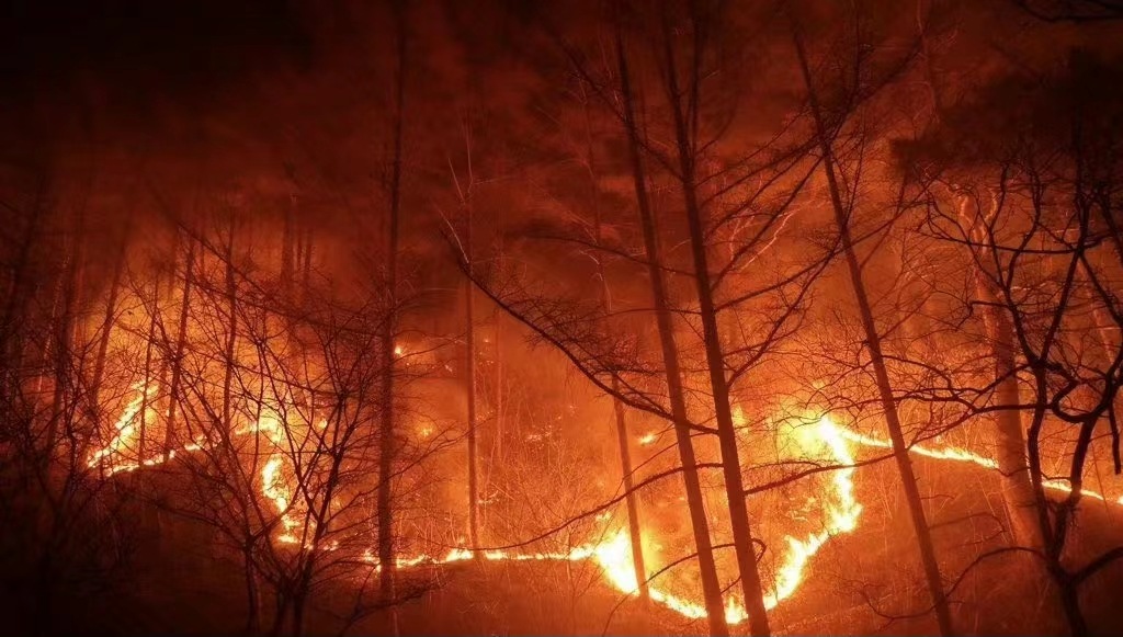 韩国发生10年来最严重森林火灾
