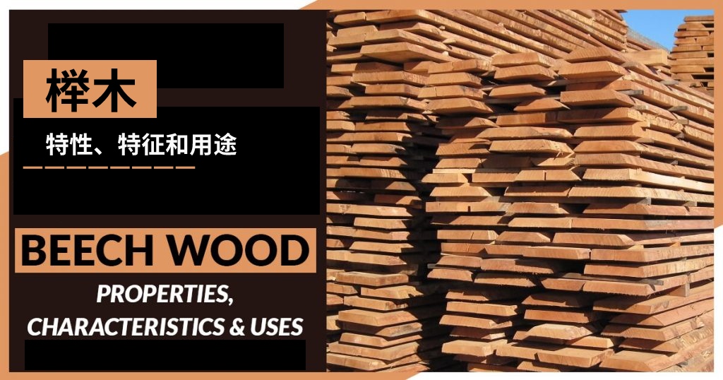 榉木：特性、特征和用途
