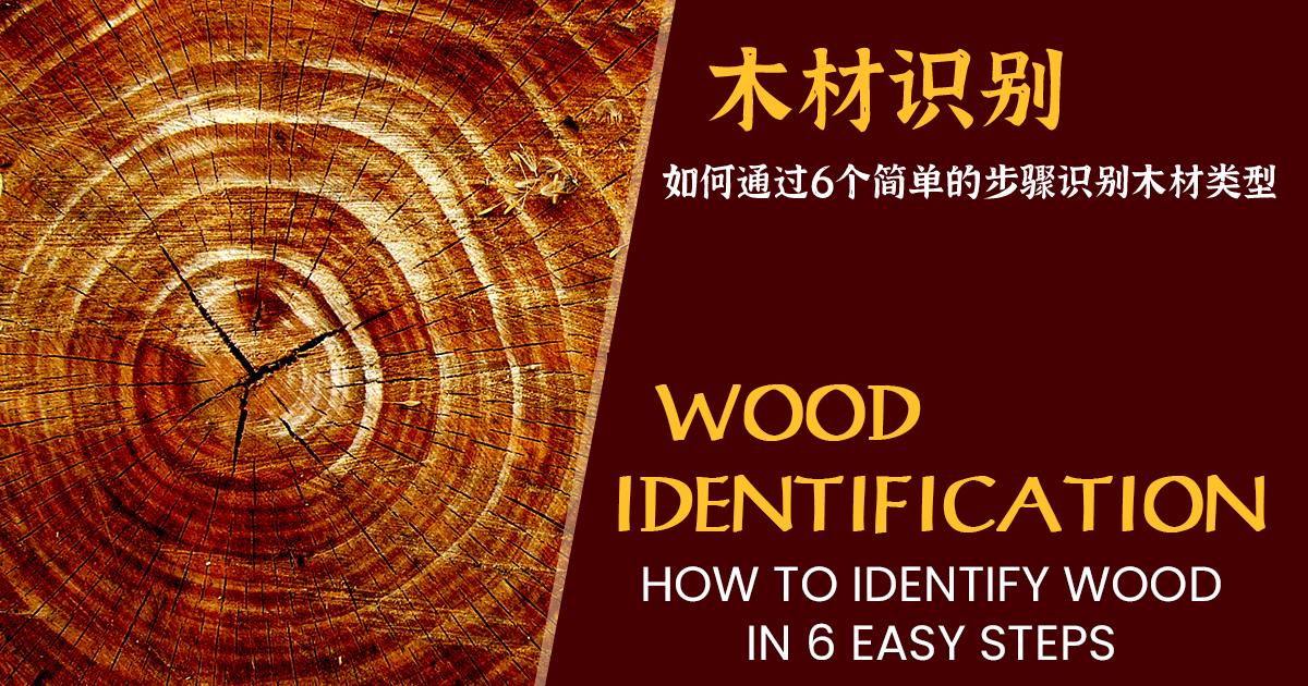 木材识别 – 如何通过6个简单的步骤识别木材类型