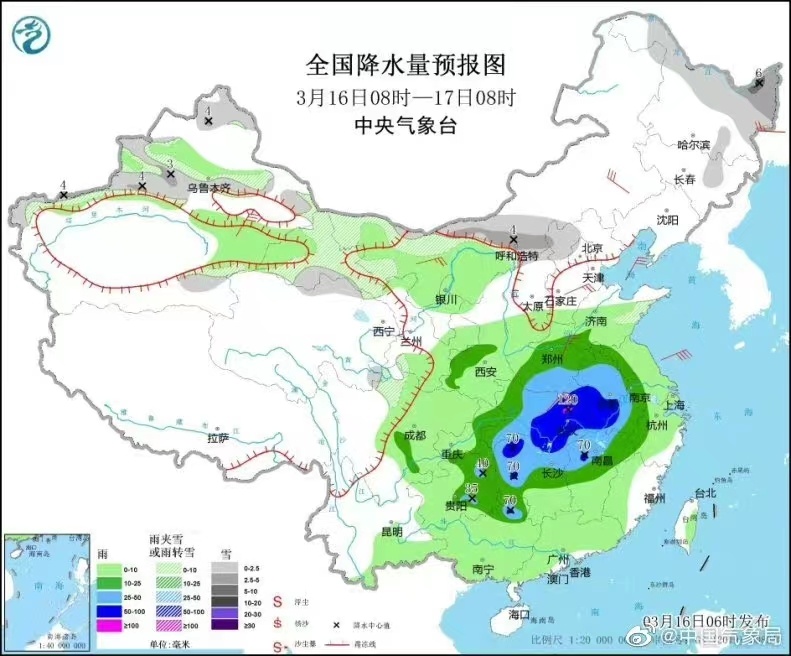 停工停产停运输！木材商陷两难局面