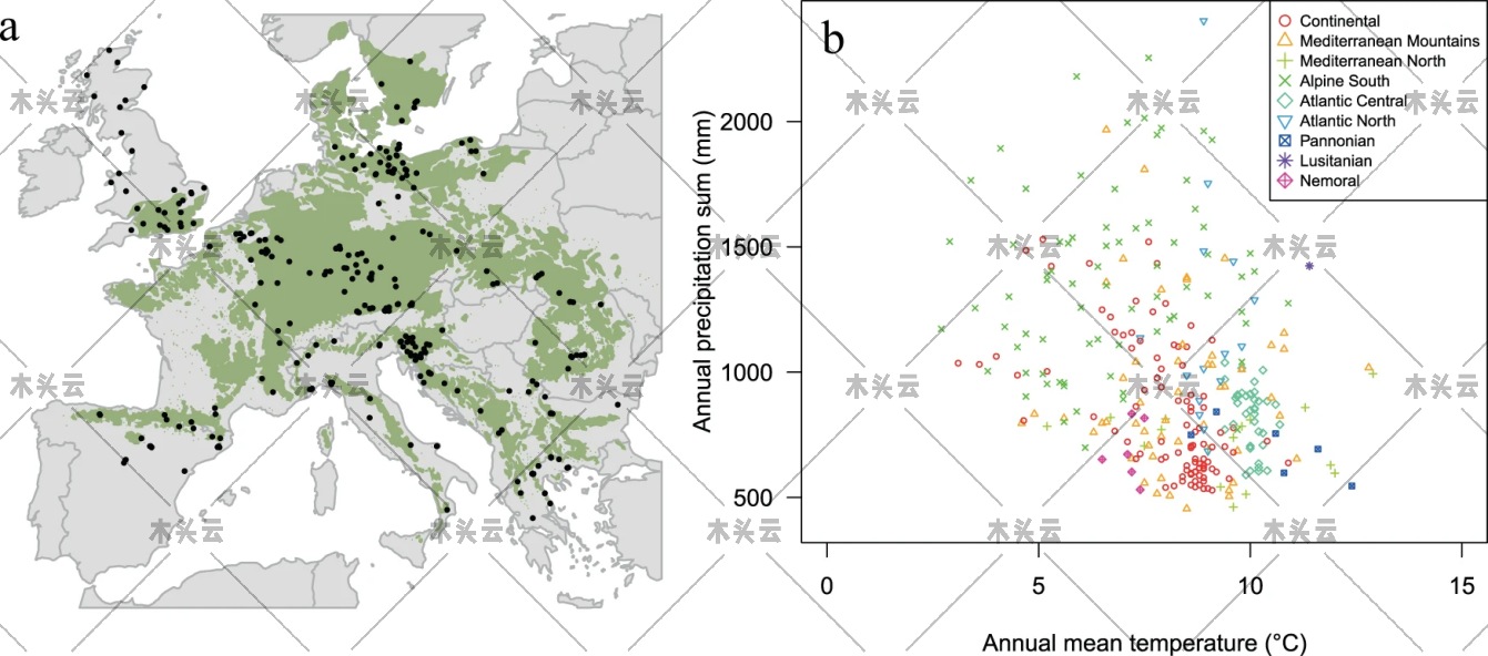 欧洲山毛榉未来70年产量堪忧