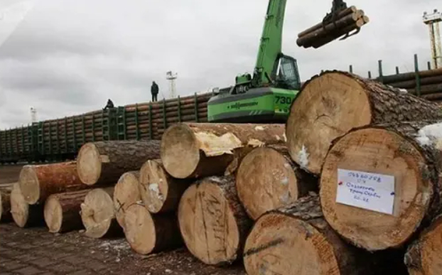 俄欧木材贸易停止，对欧盟的影响到底有多大?