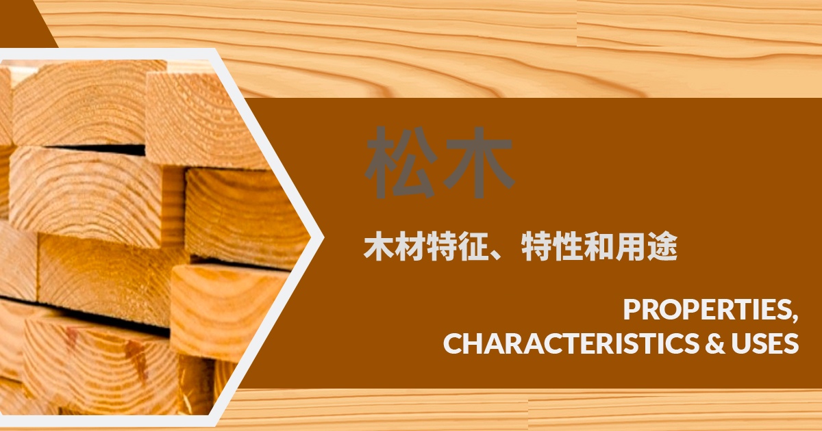 松木的木材特征、特性及用途