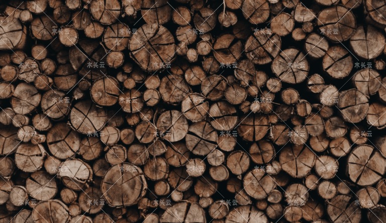 俄罗斯将开放木材出口检查站