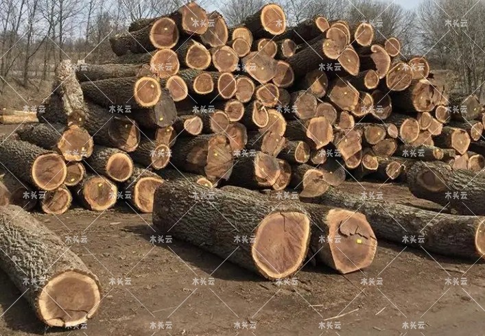 2021年美国木材价格达到创纪录水平