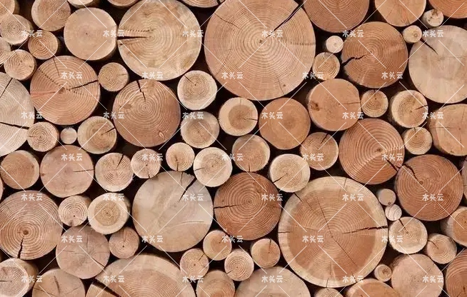 2021年美国木材价格达到创纪录水平