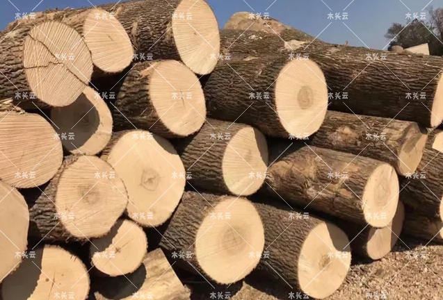 2021年美国木材价格达到创纪录水平