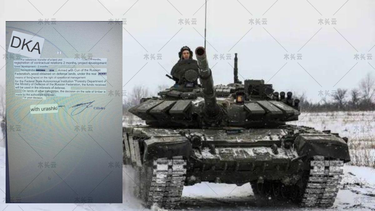 乌克兰：匿名者说俄罗斯要砍我们的树拿去卖