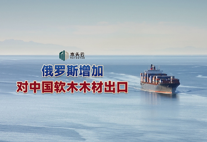 俄对华木材出口额增长29%