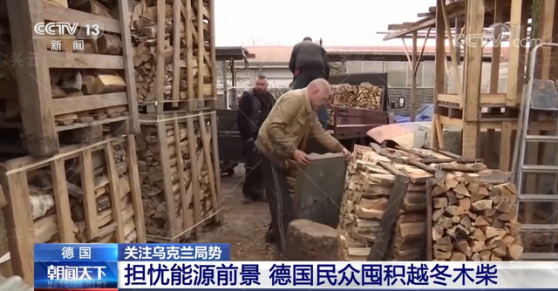 “能源寒冬”席卷欧洲，木材价格持续上涨