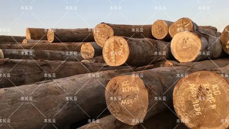 最新统计，巴新木材84%出口至中国