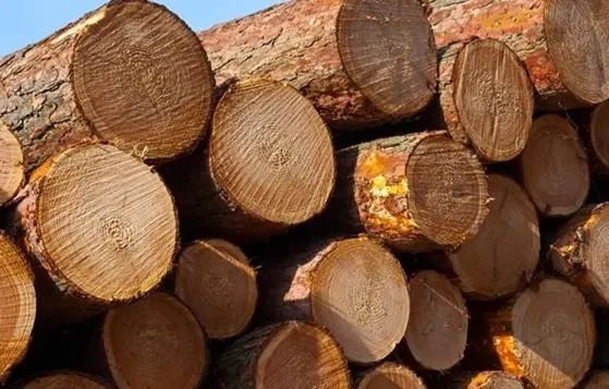 俄乌事件或将推动俄原木供应发生逆转