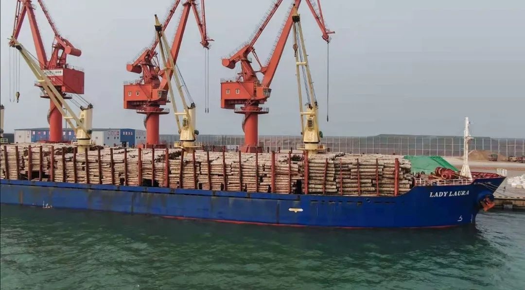 欧洲港口呼吁对俄罗斯实施进一步的木材出口禁令
