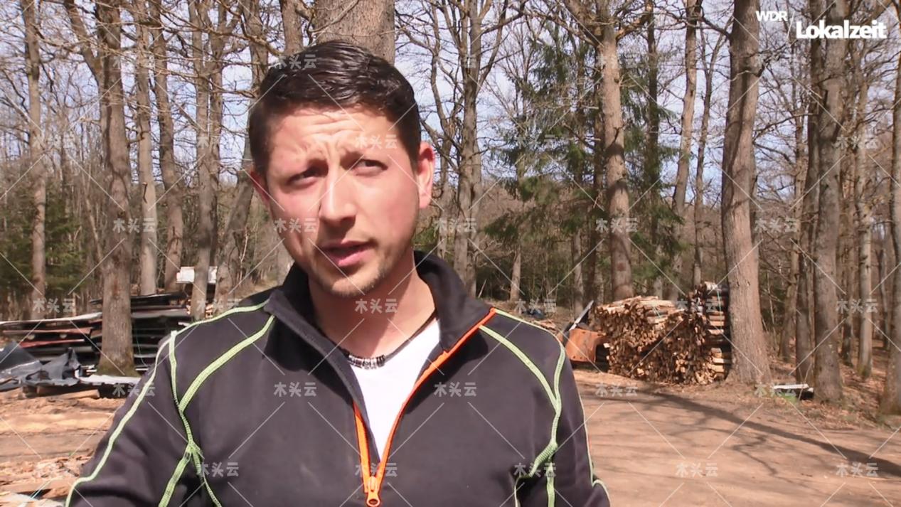 德国：木材进口已经显现大问题了