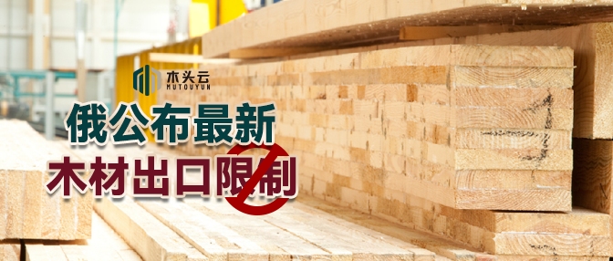 俄罗斯木材出口关税有望归零