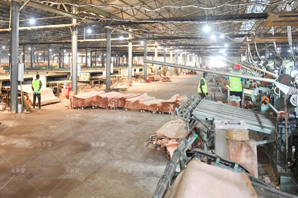 木材：预计2022年第二季度加蓬的产量将增加