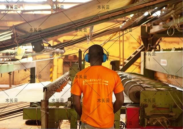 加蓬木材公司将投资200亿用于木材加工