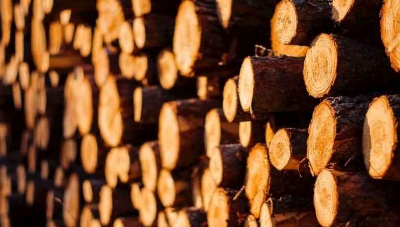 木材短缺影响意大利木制家具生产
